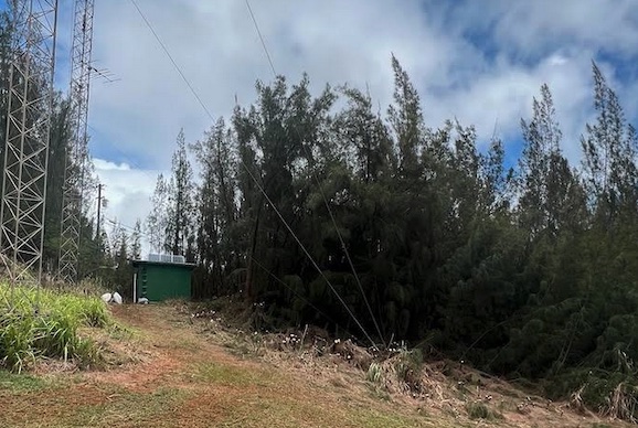 Kukiolono Cleanup